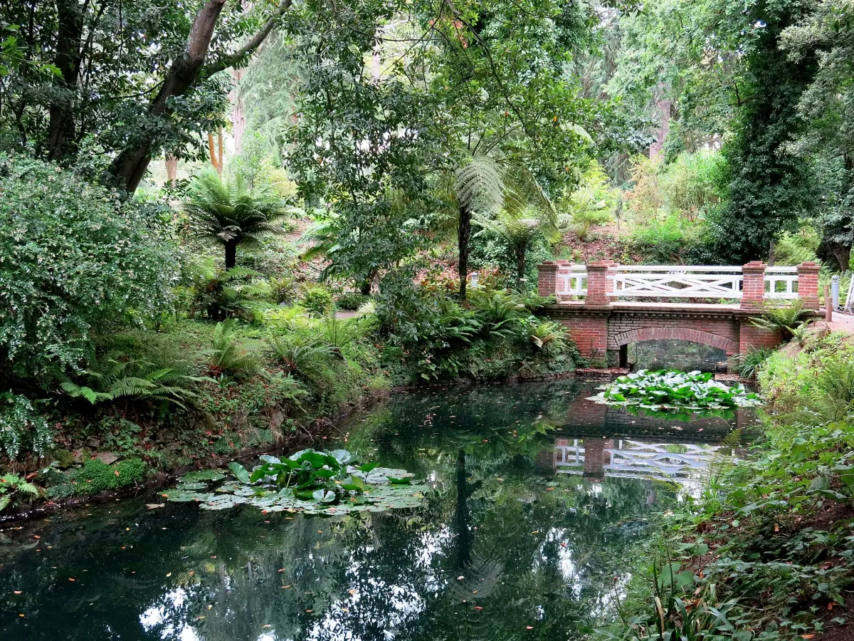 Estanque con nenúfares y puente de ladrillo entre helechos en el Jardín Botánico Atlántico de Gijón