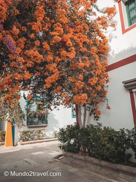 Qué ver en Gran Canaria, Puerto de Mogán - La pequeña Venecia canaria